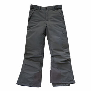 Men's Swiss Alps Ski & Snowboard Pants L Gray